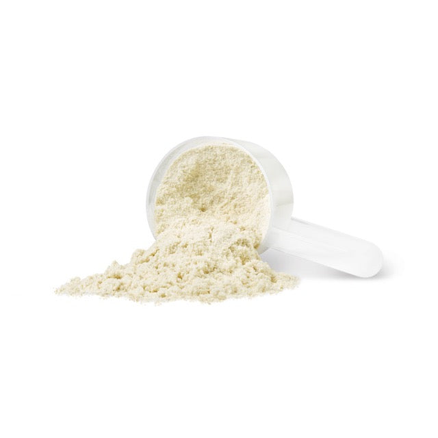 Progressive Harmonized Protein Natural Vanilla