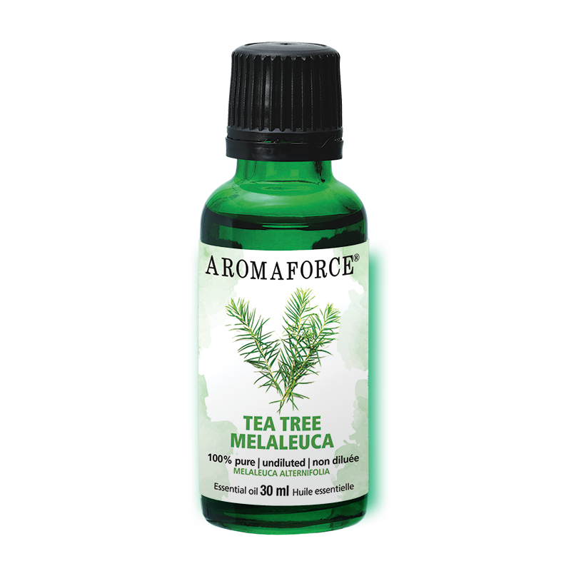 Tea Tree Essential Oil, 30mL