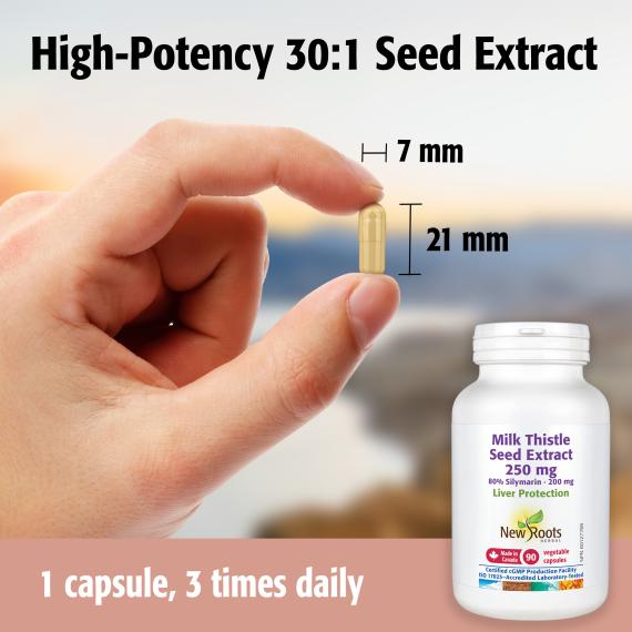 New Roots Milk Thistle Seed Extract | High-Potency Liver Protection