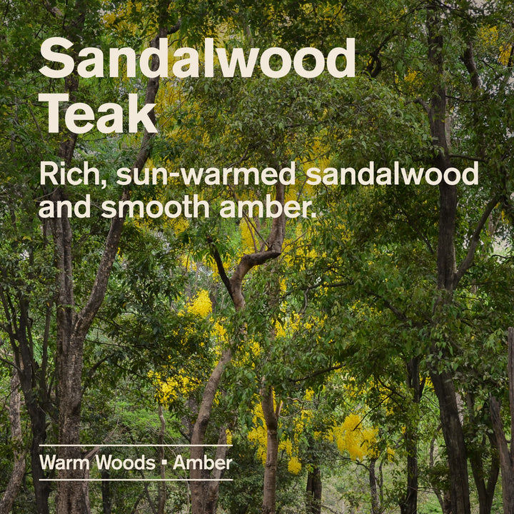Every Man Jack - Sandalwood Teak 2-in-1 Shampoo + Conditioner