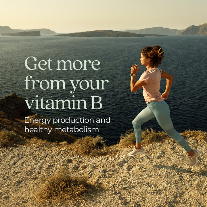 New Chapter® Fermented Coenzyme B Complex