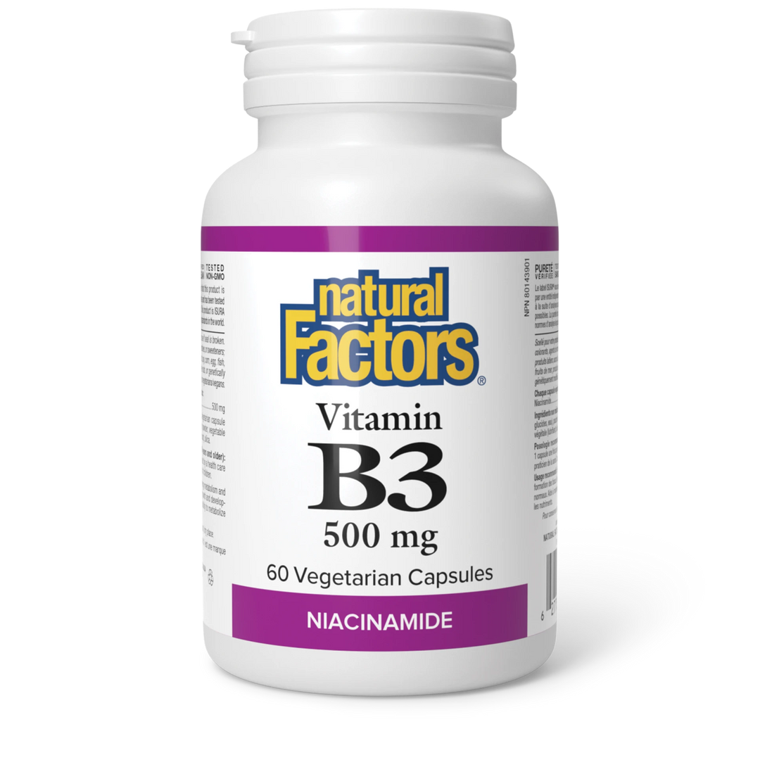 Natural Factors Vitamin B3 500 mg