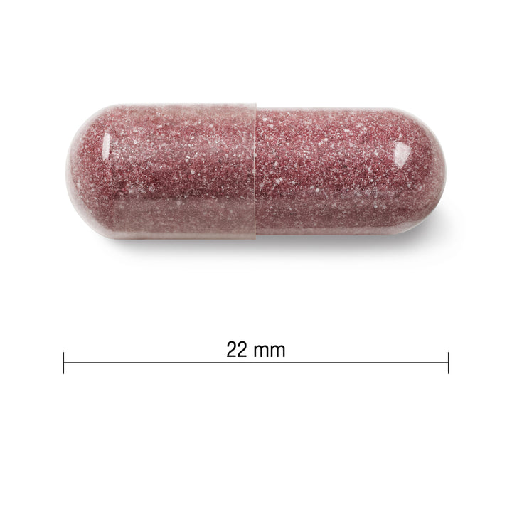 Jamieson Maximum Concentrate Cranberry Complex Capsules, 500 mg