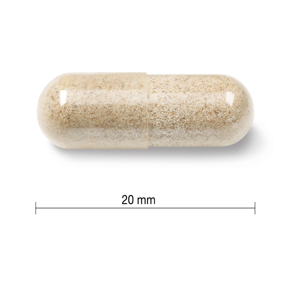 Jamieson Gentle Iron 28mg
