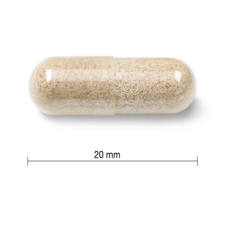 Jamieson Gentle Iron 28mg