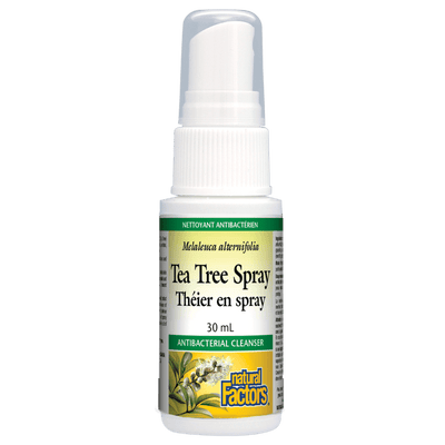 Tea Tree Spray   Spray