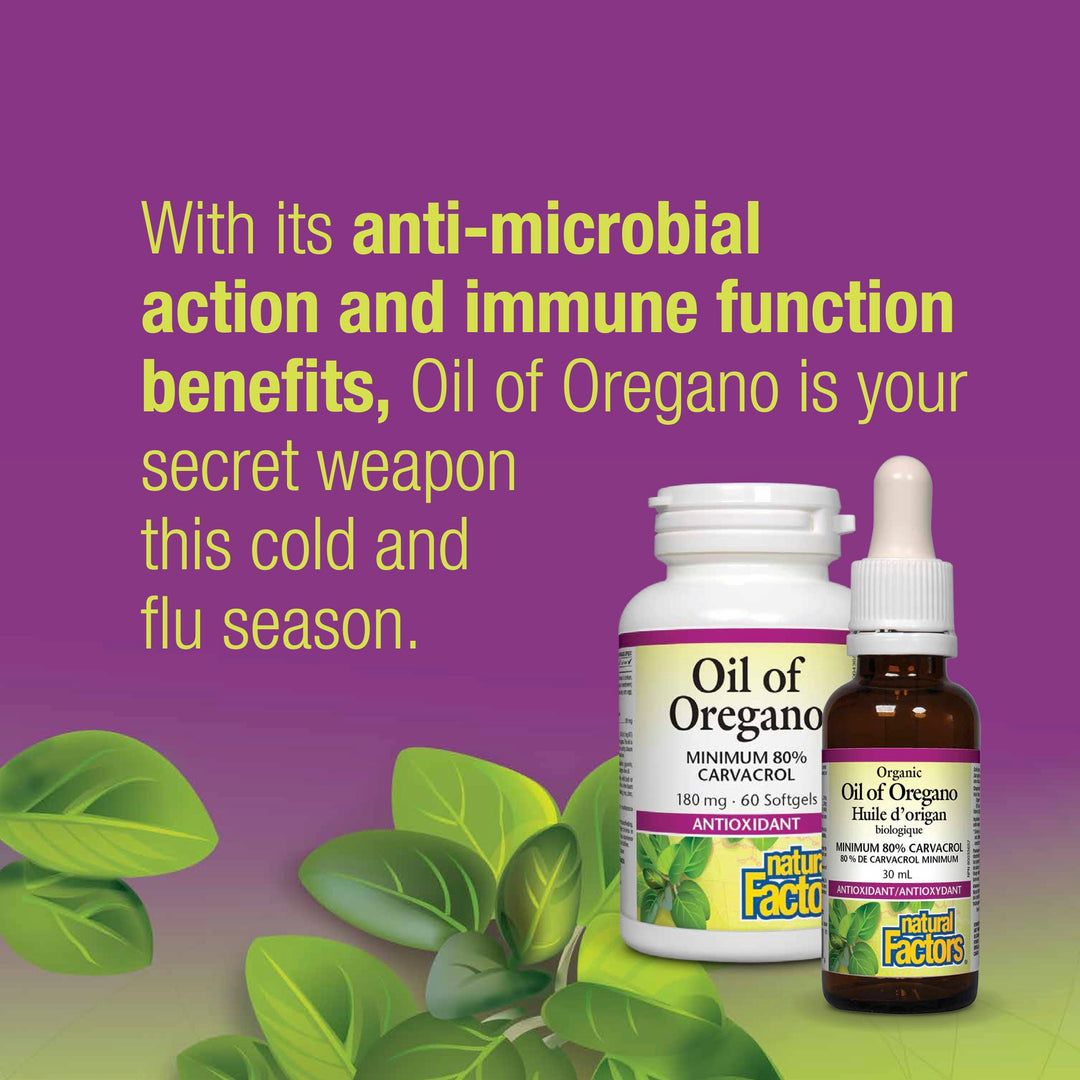 Oil of Oregano